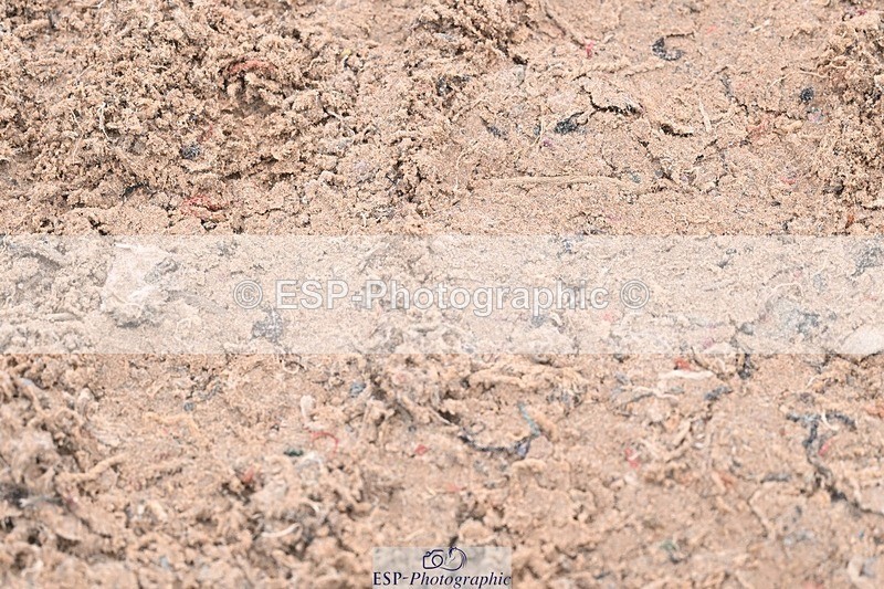 251029-121911-00456 - Newcomers and 1.10m