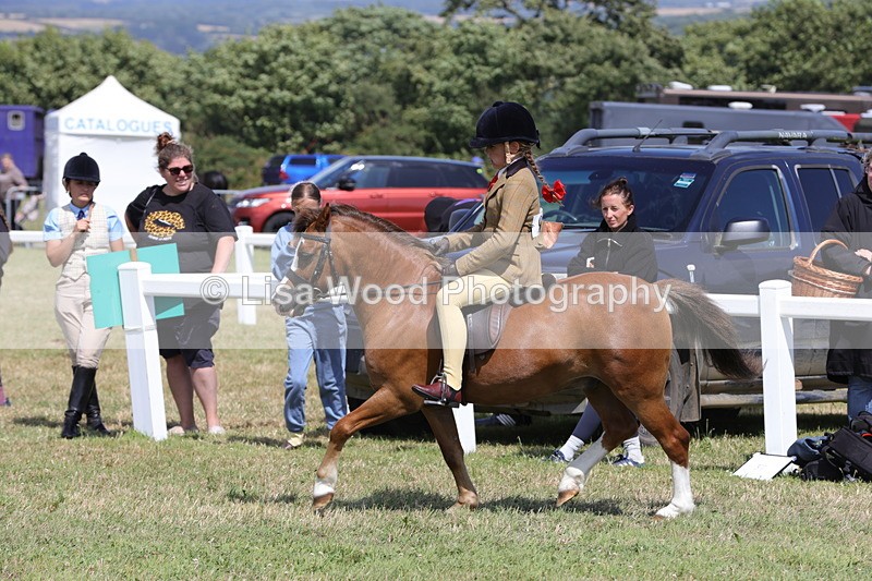 1X9A5348 - Class 37: NPS M&M First Ridden
