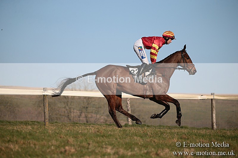 PtP 230219 487 - Vine & Craven Point-To-Point - Barbury 23/02/19