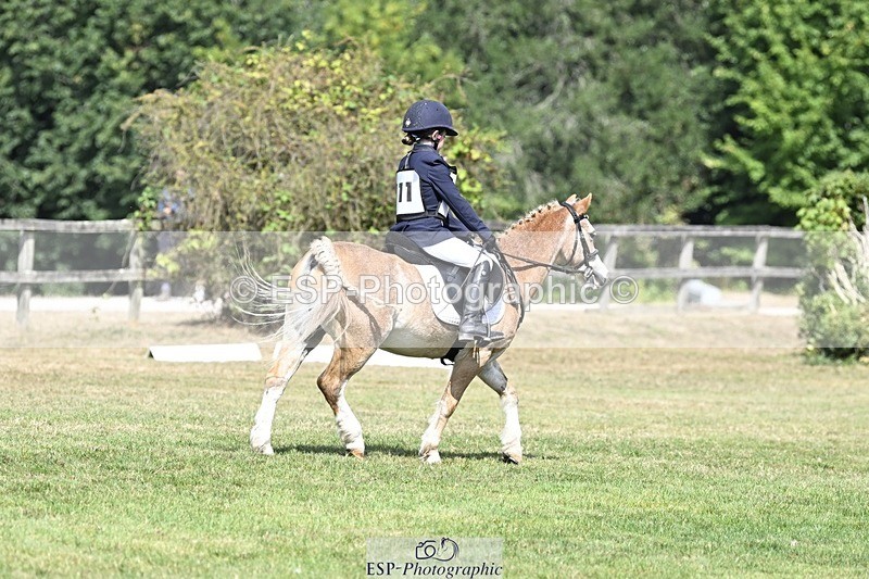 250821A-121133-15467 - DR 11.00 to 12.00