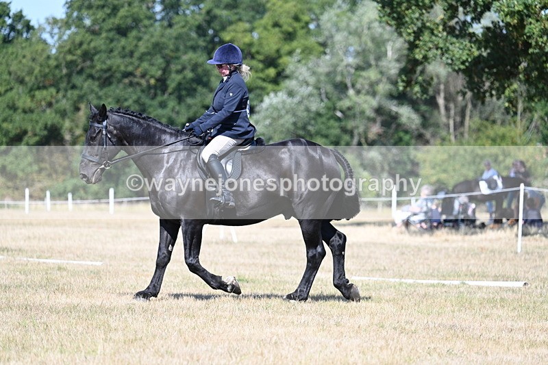 WJ7_9938 - Time 11:03 to 11:28