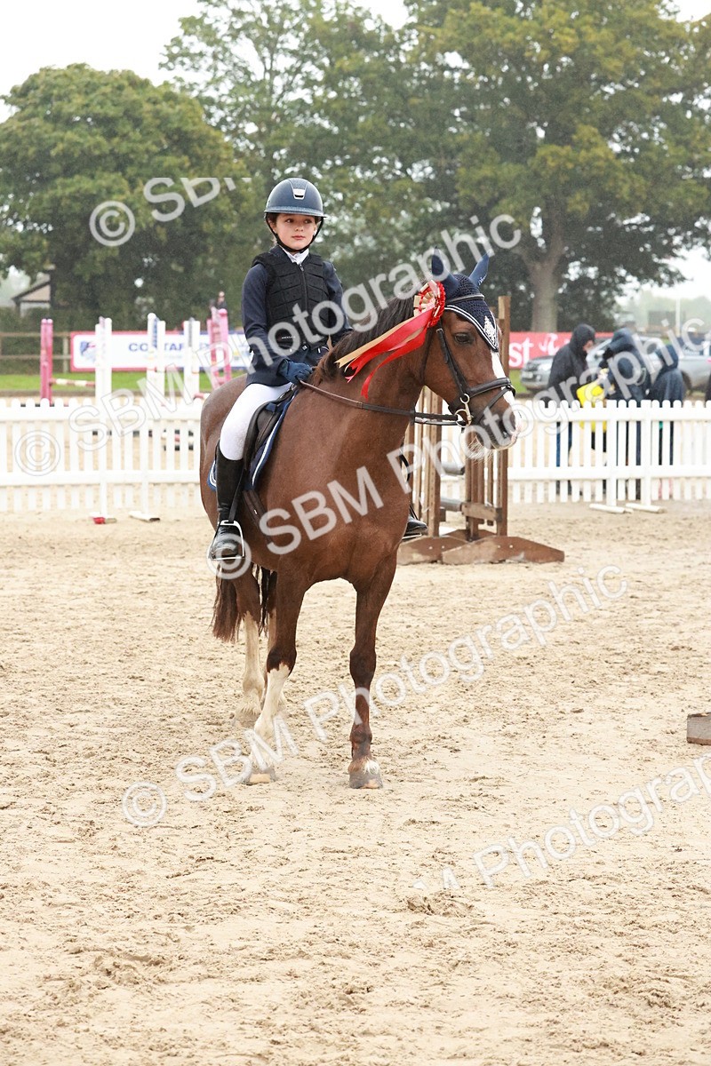 SBM_73570 - Supreme Championship Junior Pony 60cm & 65cm