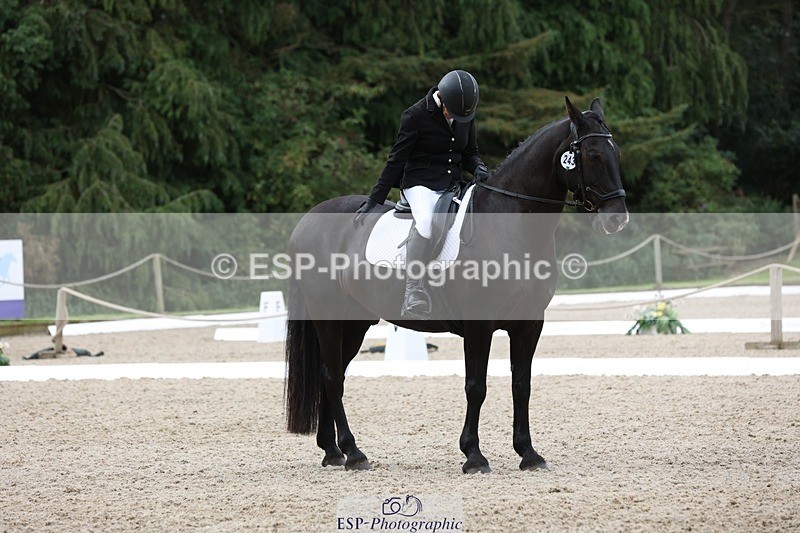 230812-123800-04058 - Cls 5 Novice Bronze 11.15 to 12.50 break