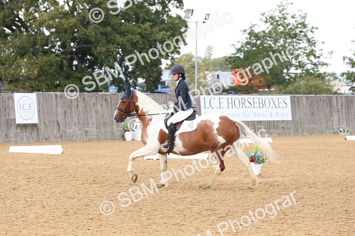 SBM_47474 - D12 - Small Tour Championship prelim 2