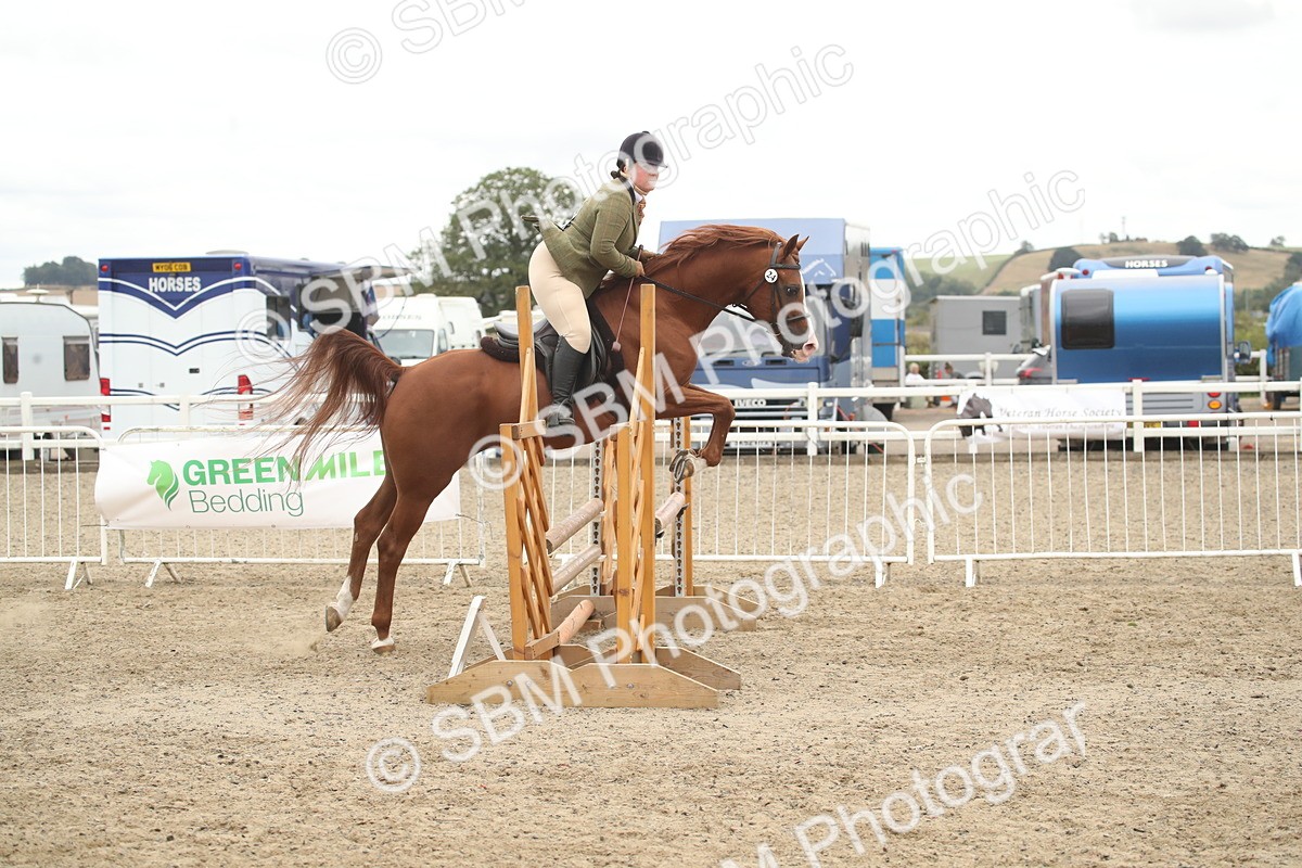 SBM_18373 - Class 509B - Working Veteran - 80cm (20+)