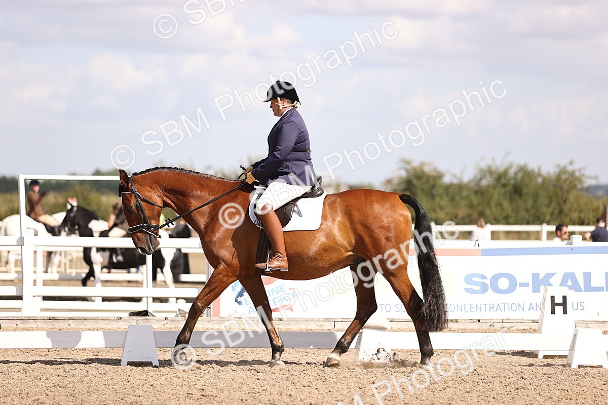 SBM_03640 - CLass 35 Intro 3