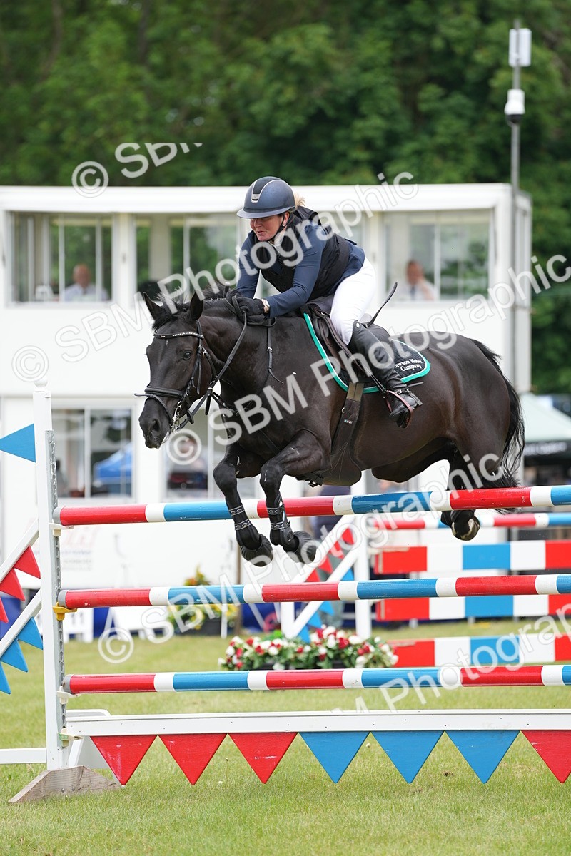 SBM_05250 - Class 201 - British Horse Feeds Speedi Beet Horse of the Year Show Grade  C