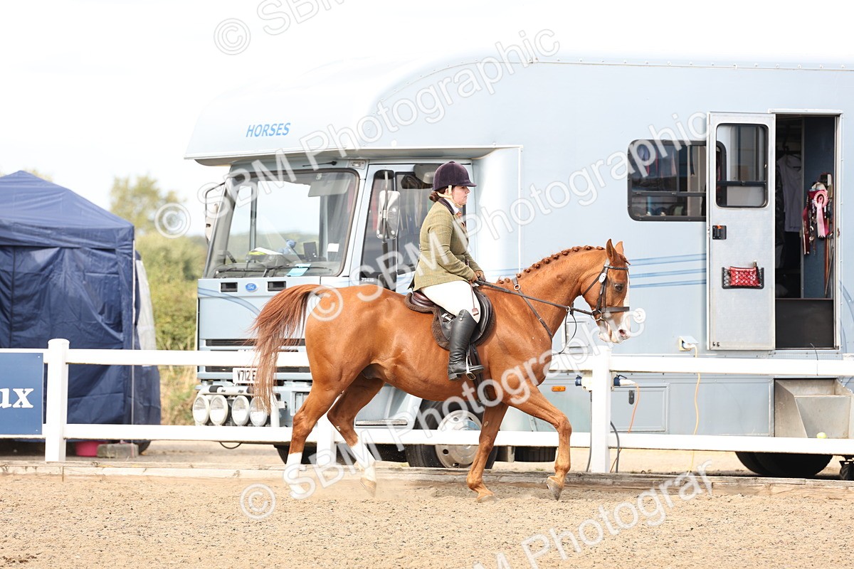 SBM_07447 - Class 59a -  Style & Performance - 80cm (15-19)