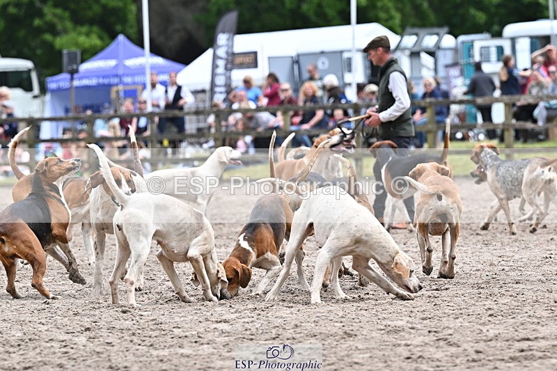 250524A-152331-12724 - East Devon Hounds