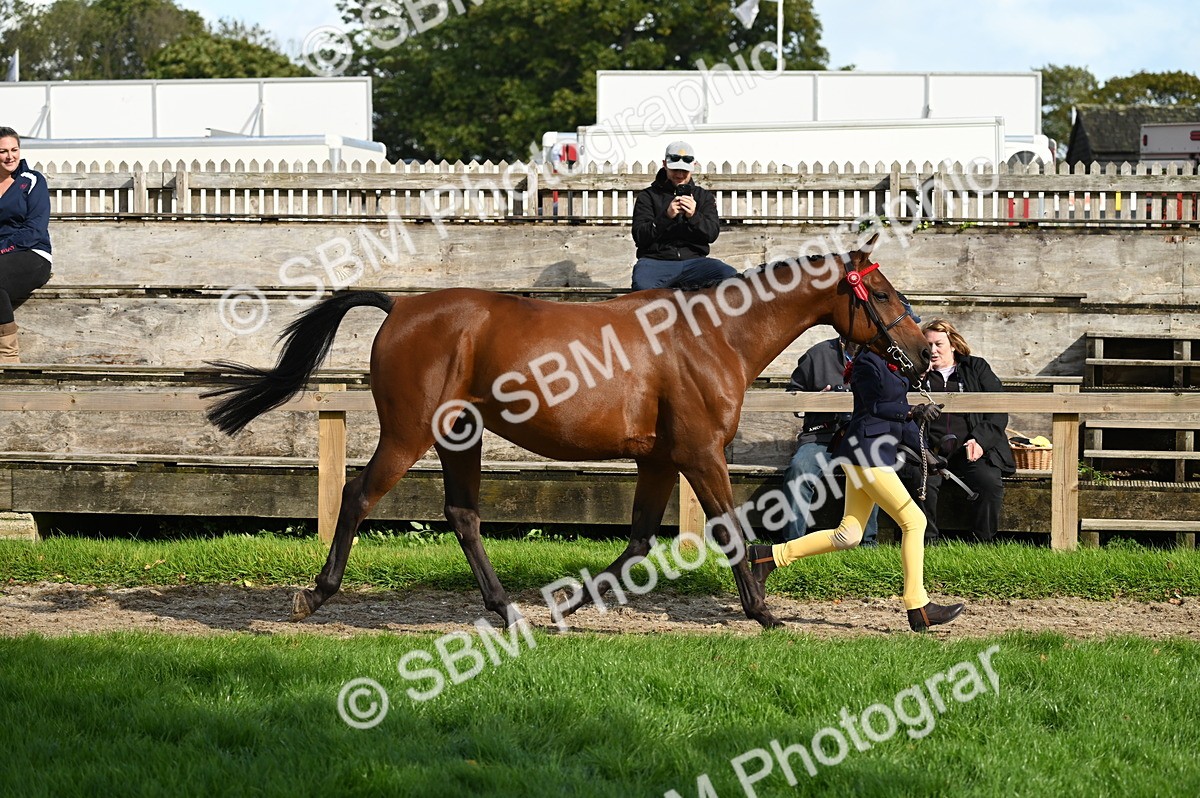 SBM_24987 - S5 - Novice & Newcomer In hand