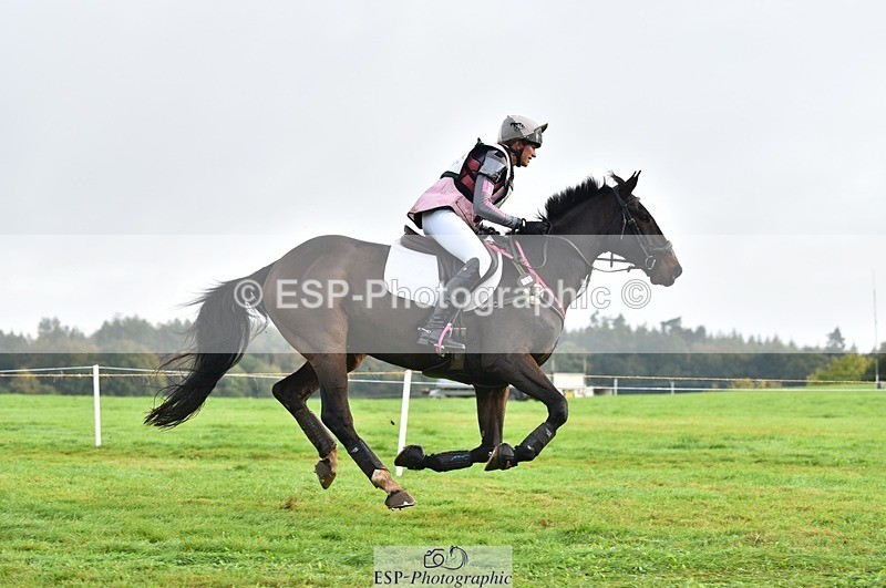 231021-091742-13511 - 603-KILBUNNY.BLUE.BIRD-Claire.Deuten-SC+XC