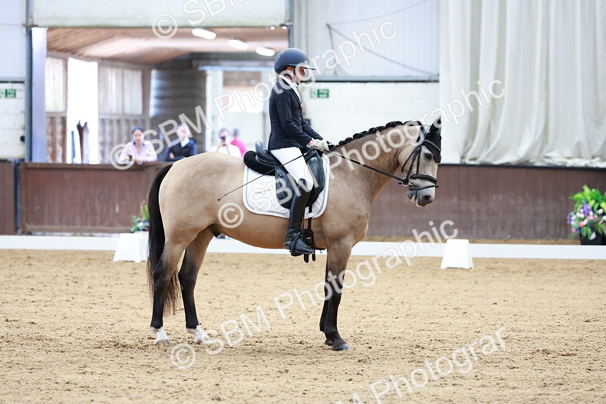 SBM_017238 - Class15 - FEI Pony