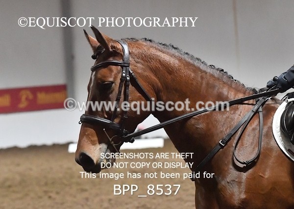 BPP_8537 - PRELIM 5 BD