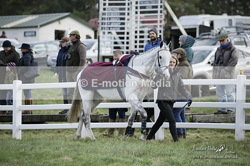 PtP 281121 0386 - Hursley Hambledon Point-to-Point Larkhill 28/11/21