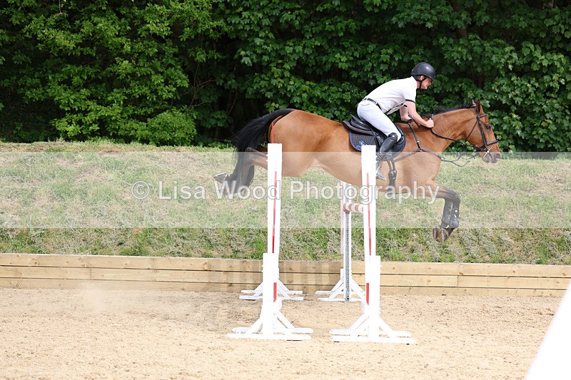 3E7A7837 - Class 8: Senior Foxhunter/1.20 open