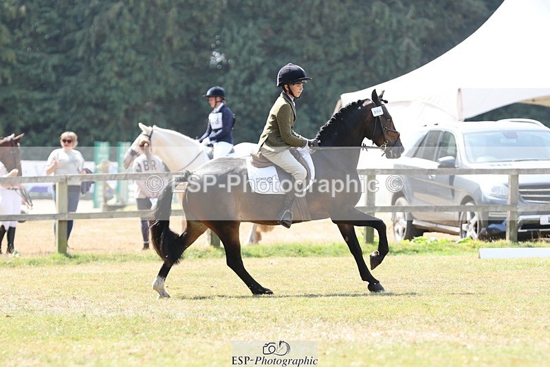 250823A-123411-29829 - Arena C