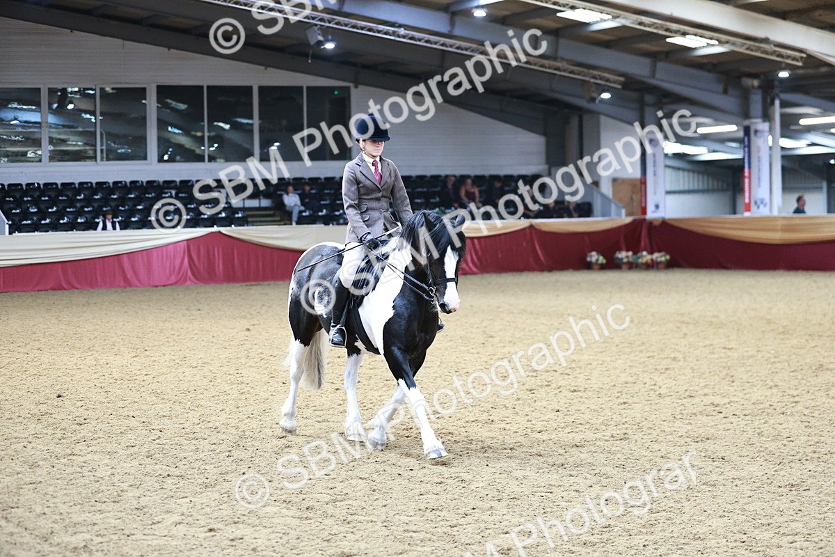 SBM_03651 - Class 6A Area Ridden Pre-Vet