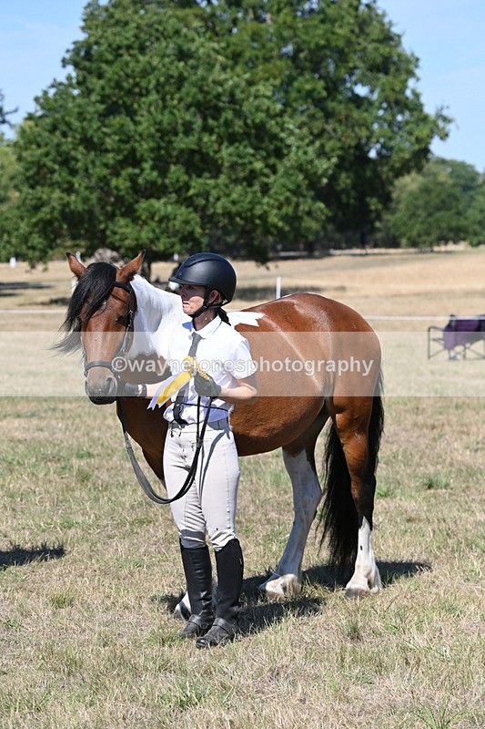WJ6_8720 - Class 37b Best Loan Pony In-hand