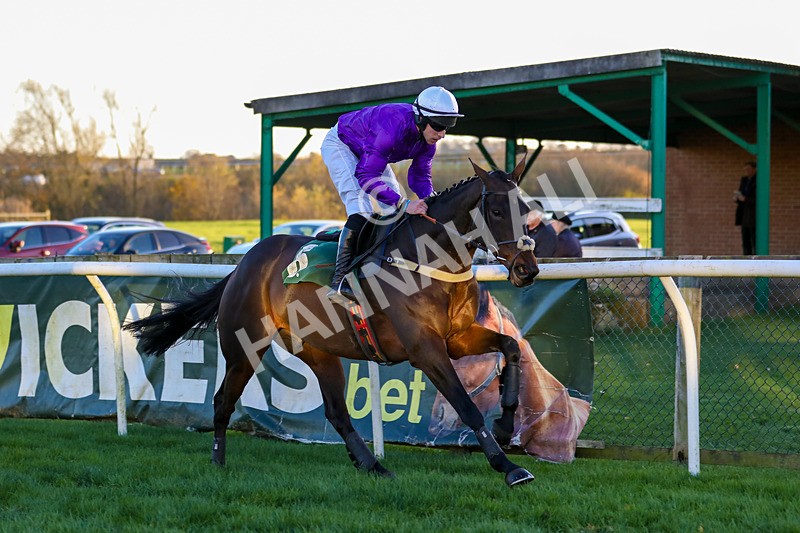 241123-Race 6-Some Scope-1367 - Race 6