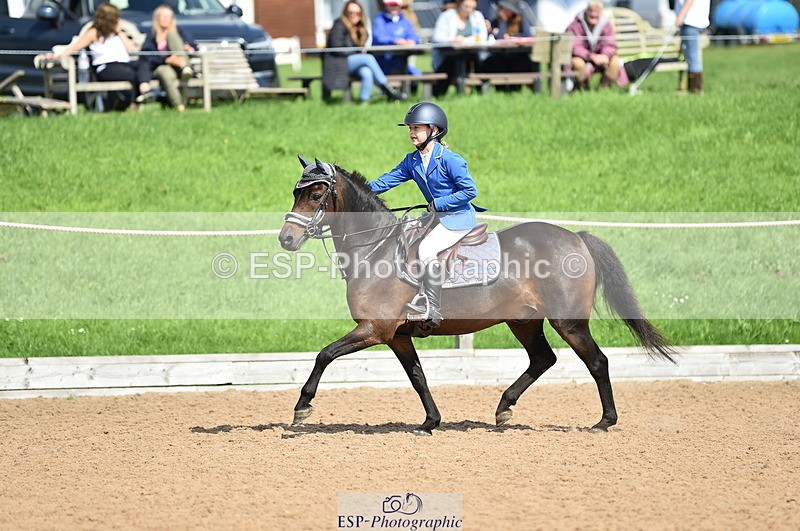 230902A-124946-01233 - Cls 3A Pony Medium 80cm