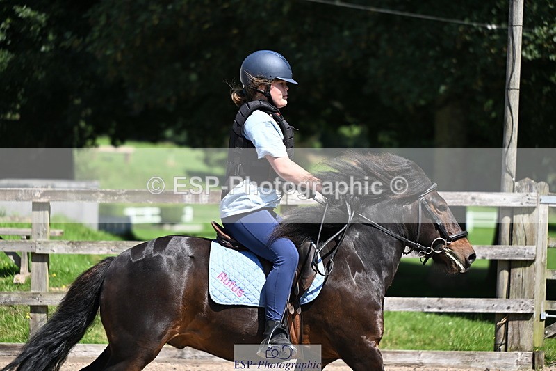 240729B-114608-02542 - Showjumping Competition