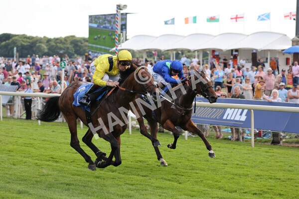 yr08072022r4-18 - Race 4 3.50pm William Hill Pick Your Places Stakes