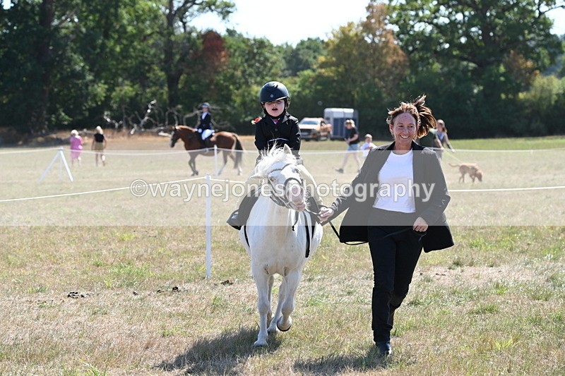 WJ6_7887 - Class 36 Lead Rein