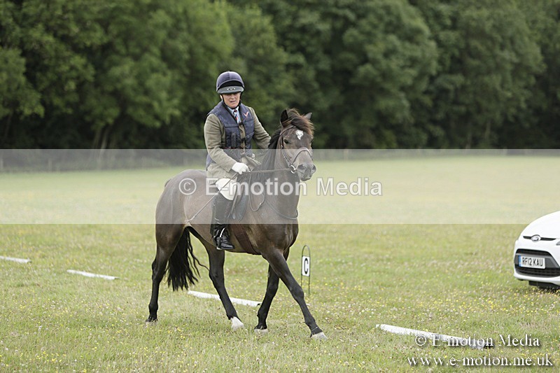 BVR160717-695 - Class 1 & 23a Dressage 16/07/17
