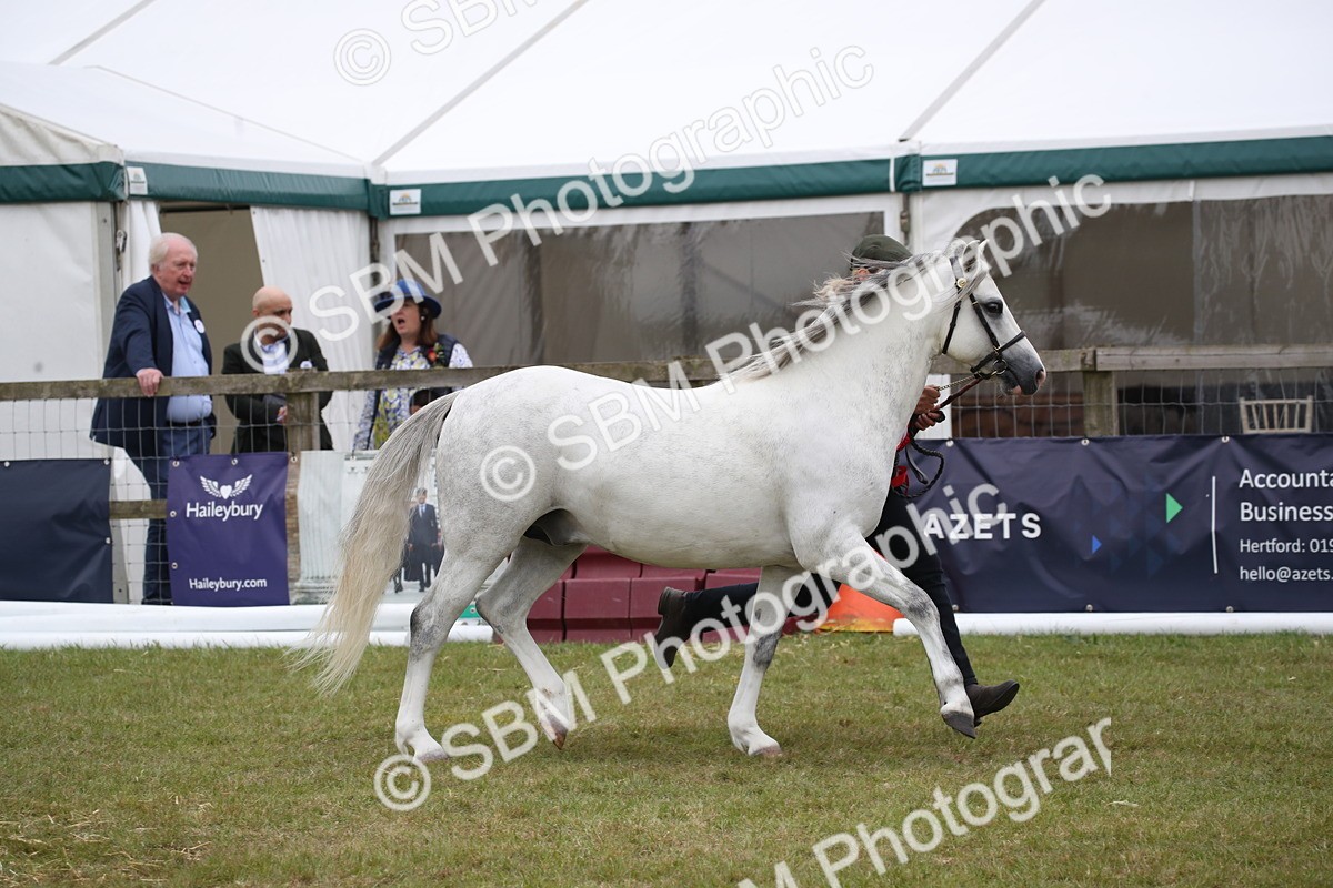 SBM_09802 - Ch 50 - Price Family Supreme In Hand