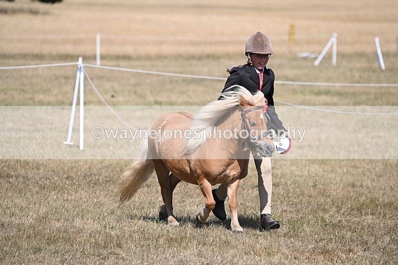 WJ6_9299 - Championship Classes 33-38