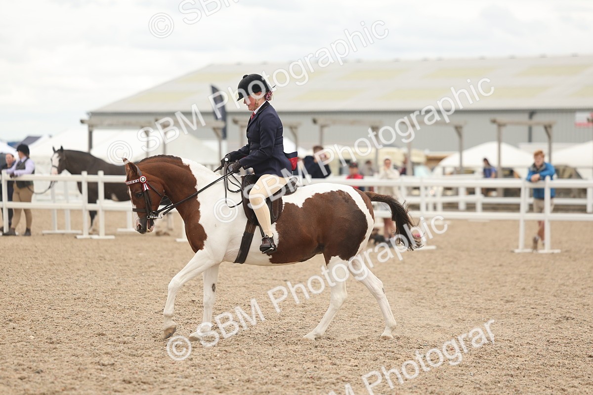SBM_19151 - Class 316 - Best Pony-Rider Combination