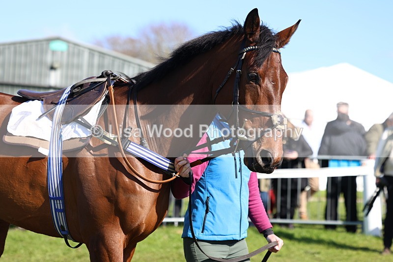 3E7A5599 - Race 6: Maiden (NWFAA)