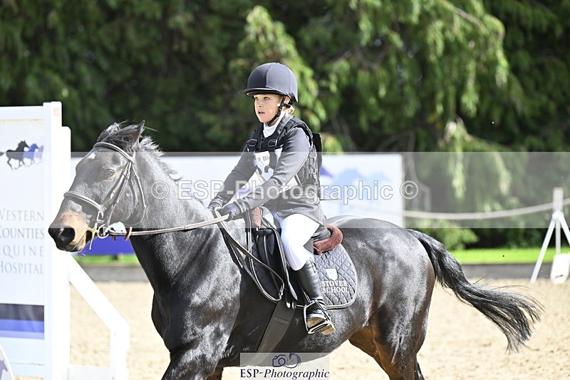 251005A-125530-03959 - Cls 08 Mini 70-75cm