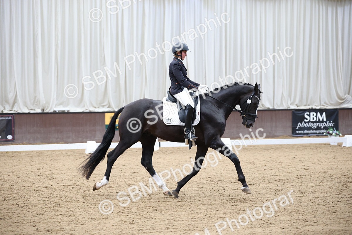 SBM_003509 - Class 5 - Novice 6 Gold - 13.05-14.00