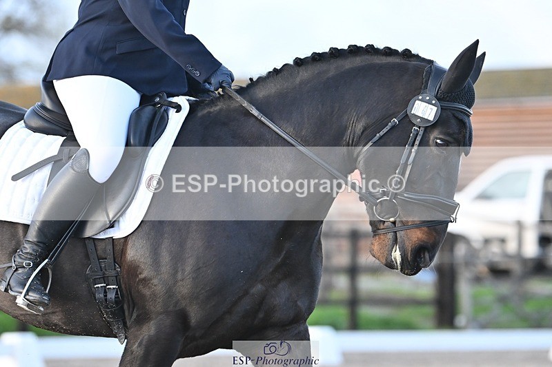 231105-160148-04002 - Cls 4 Novice 24 15.24 to 16.35 break