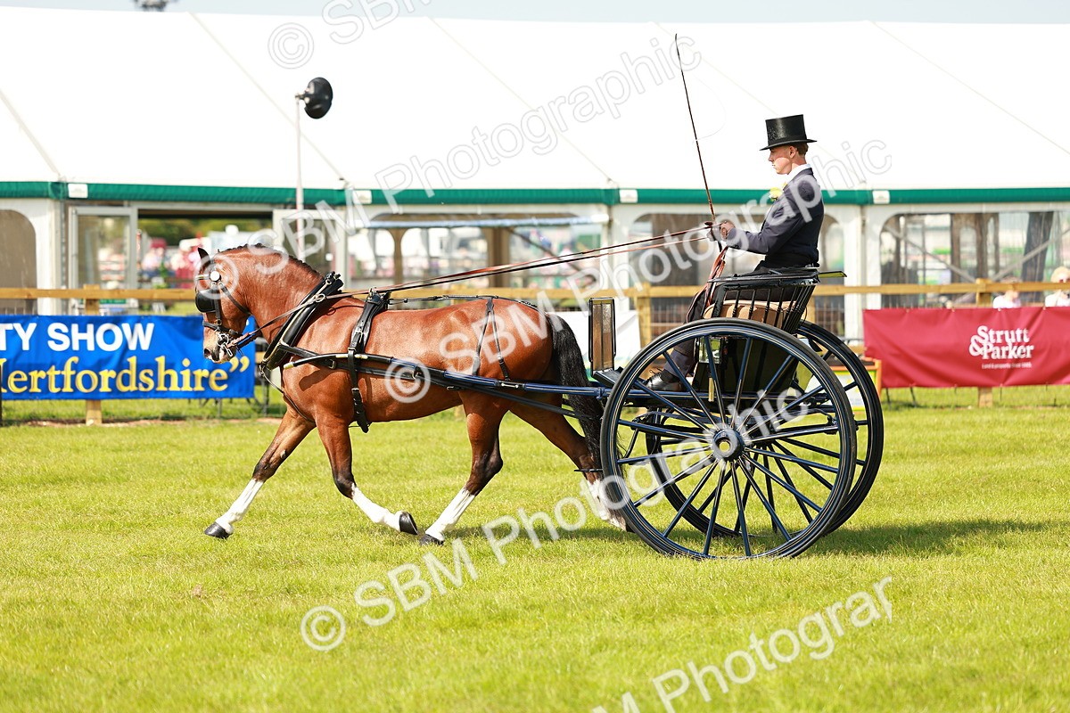 SBM_02702 - Class 2-4 - HOYS Private Driving