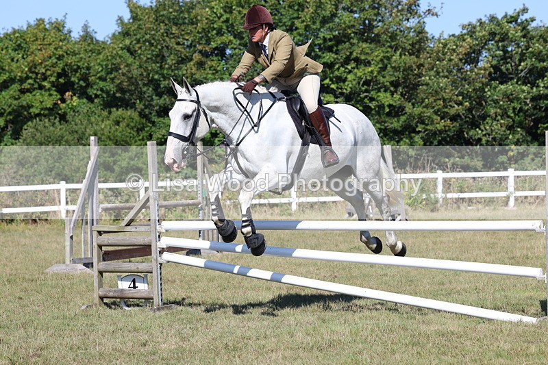 3E7A5848 - Class 5: Working Hunter 90cm