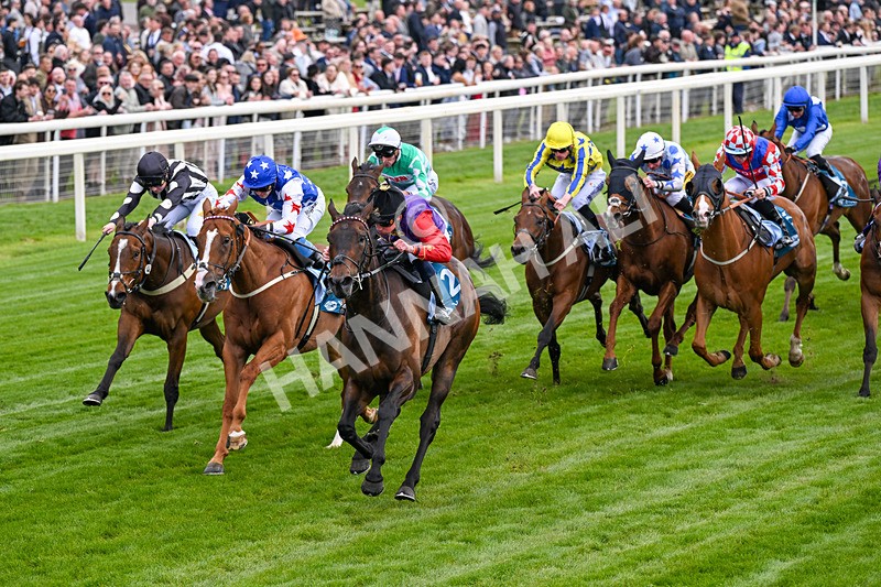 150526-Race 3-Warrant Holder-0171 - Race 3 2.55pm Support Macmillan Charity Raceday On 13 June Handicap