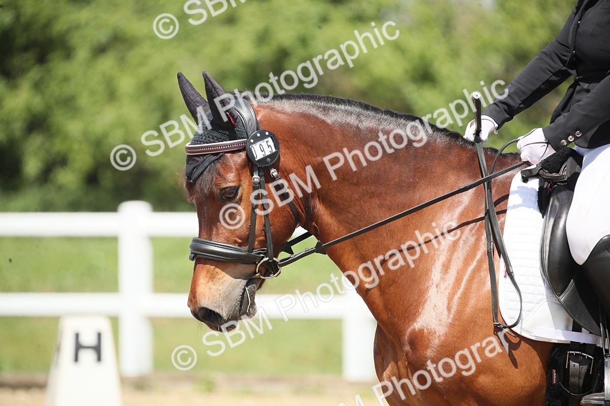 SBM_008947