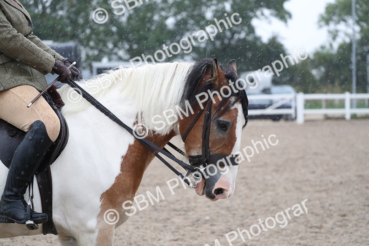 SBM_20407 - Class 601 - 2025 Area - Ridden Diamond