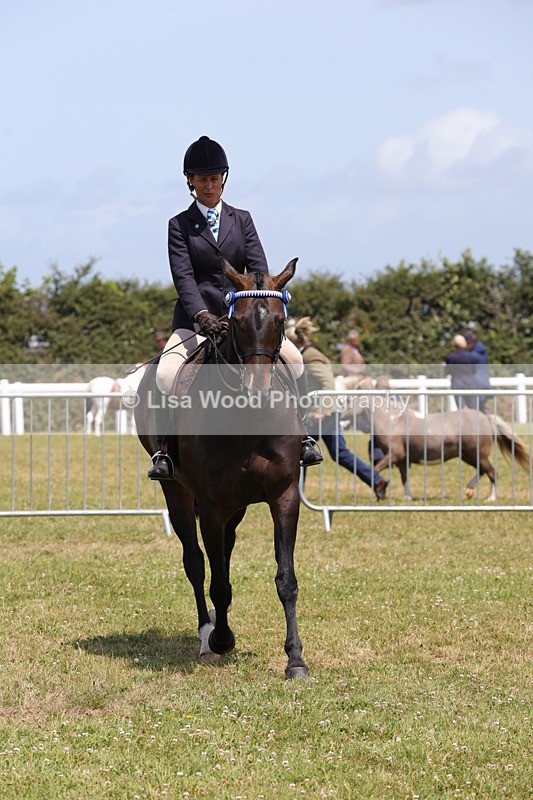 1X9A4580 - Class 34: Veteran Ridden