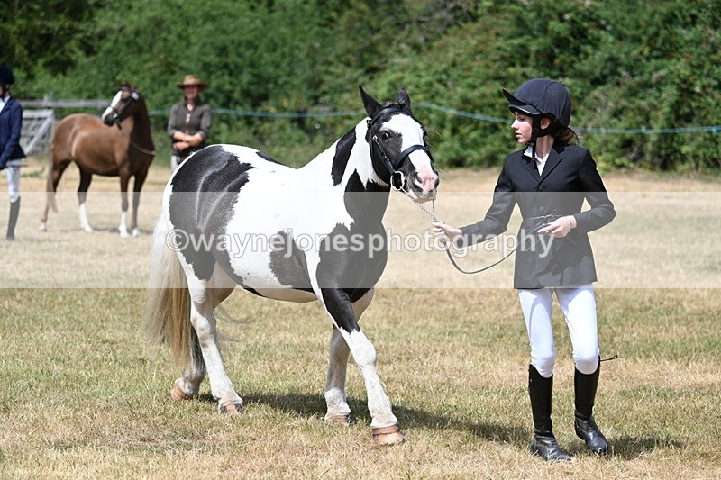WJ7_1713 - Class 4 Prettiest Mare up to 14.2hh in hand