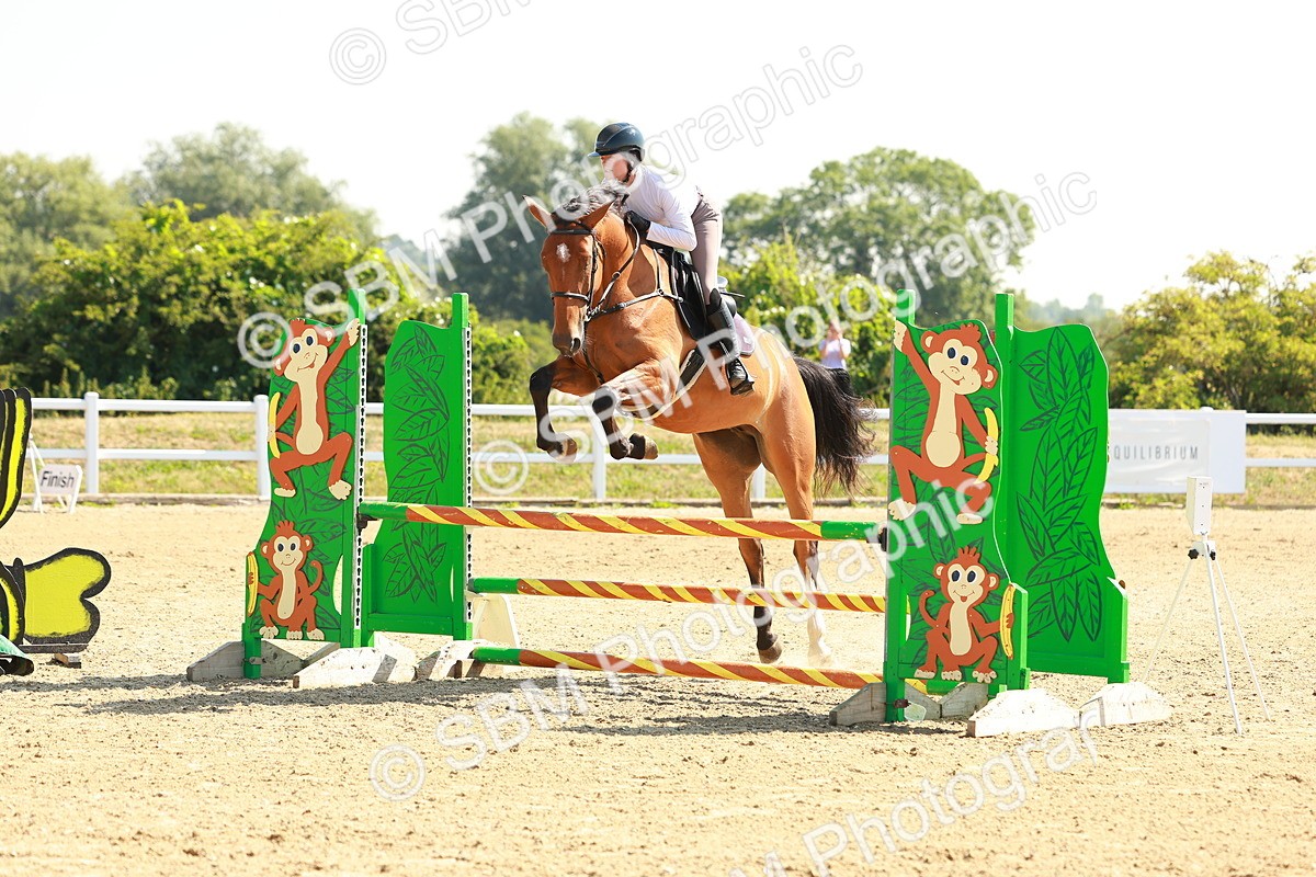 SBM_000021 - Class 2 - Senior British Novice - 90cm