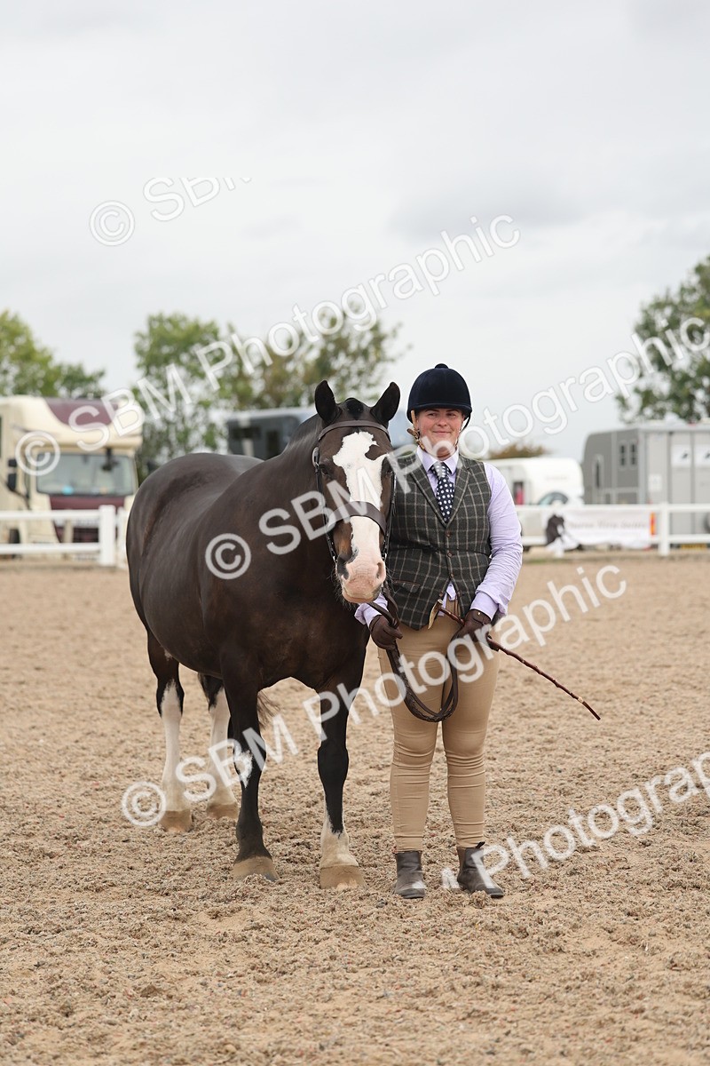 SBM_19870 - Class 318 - IH Part Bred Horse-Pony