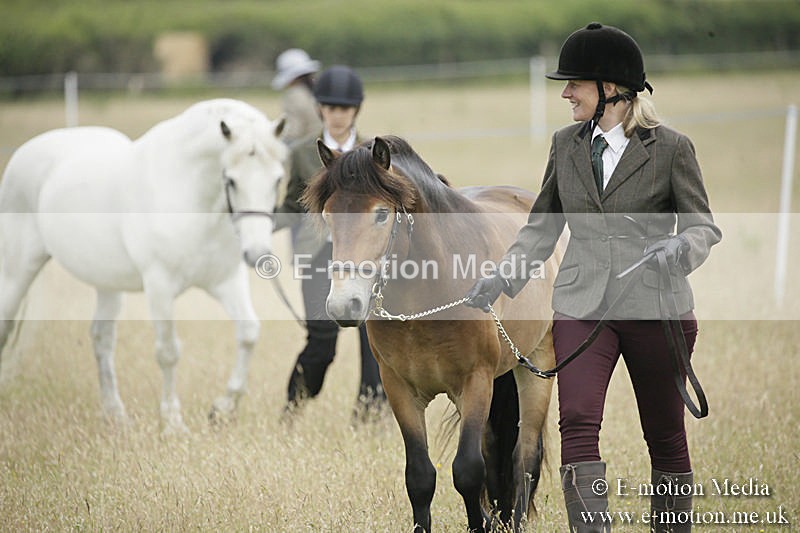 B230619-0116 - Bourne Valley Riding Club Summer Show 23/06/19