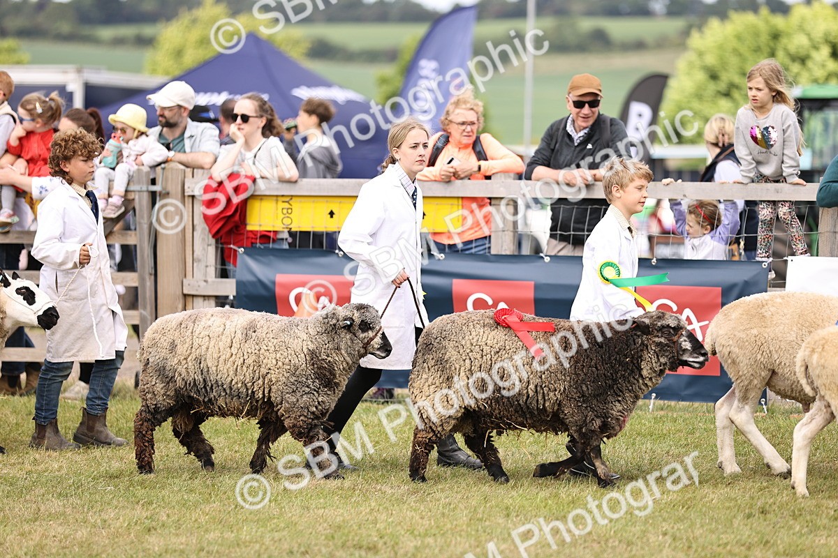 SBM_16861 - Grand Parade