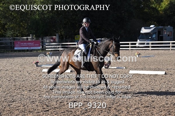 BPP_9320 - LONG ARENA