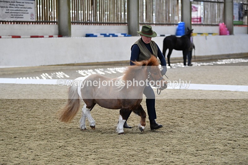 WJ5_4869 - Class 7 In hand coloured / odd coloured