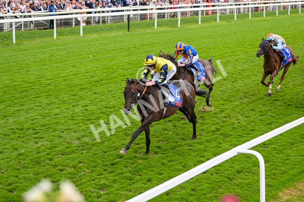 240824-Race 2-Tabletalk-1328 - Race 2 2.25pm Sky Bet Melrose Handicap