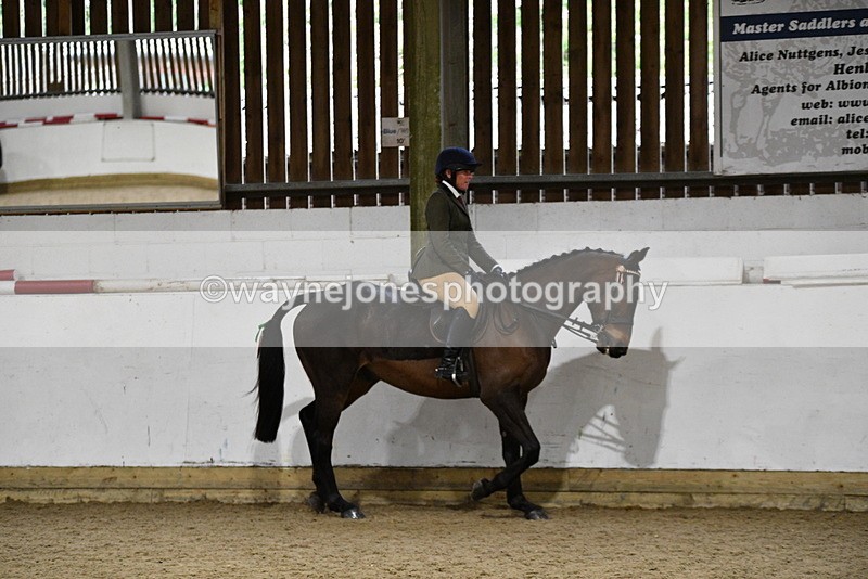 WJ5_8761 - Class 15 Ridden Show Horse